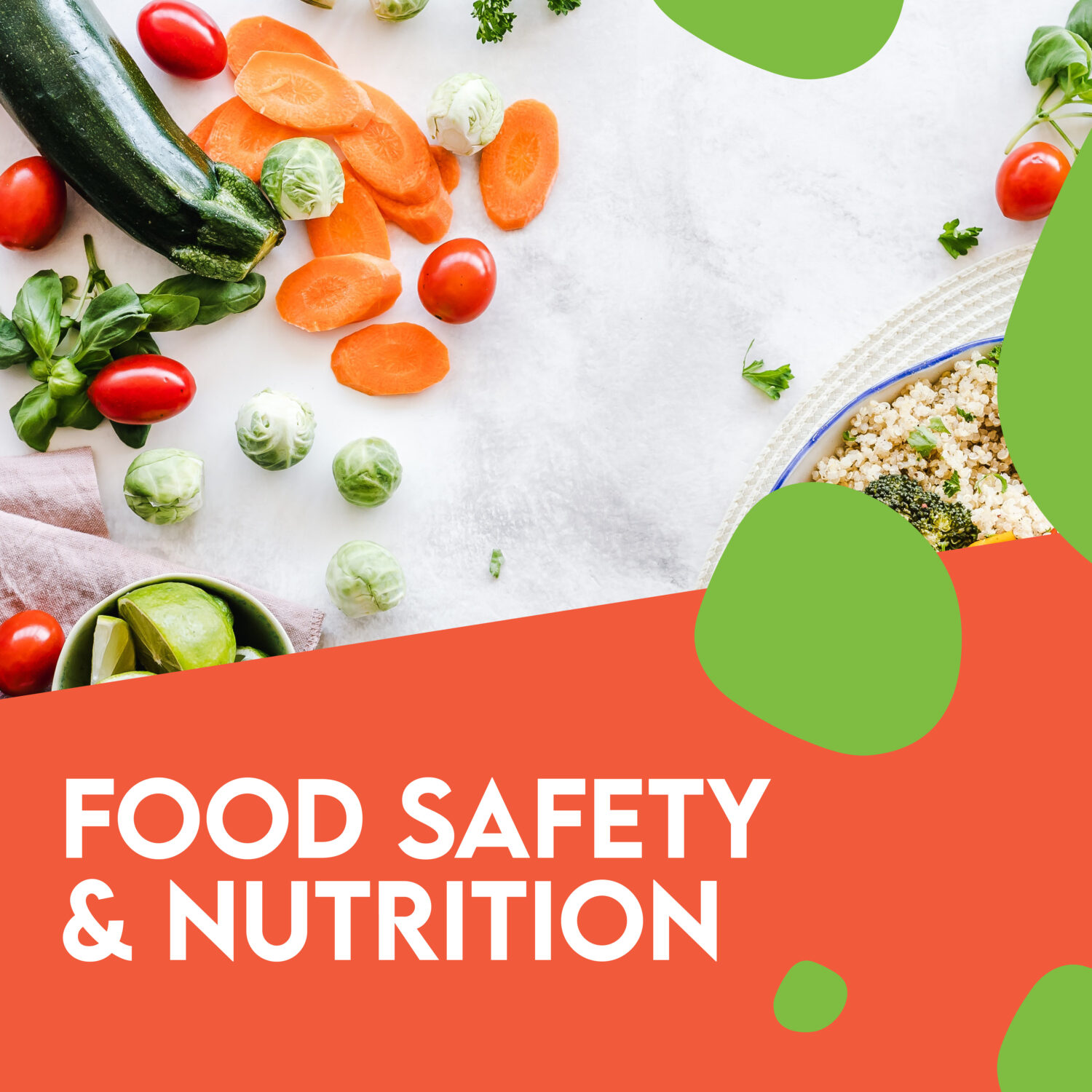 Food Safety and Nutrition – Network of Community Activities